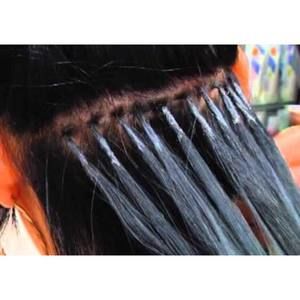 Meet your Posher, Martha